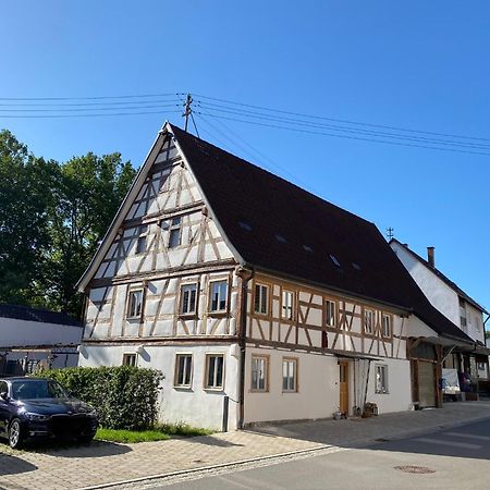 Tranquil Ground Floor Apartment: Dog-Friendly with Modern Comforts Nehren  Exterior photo