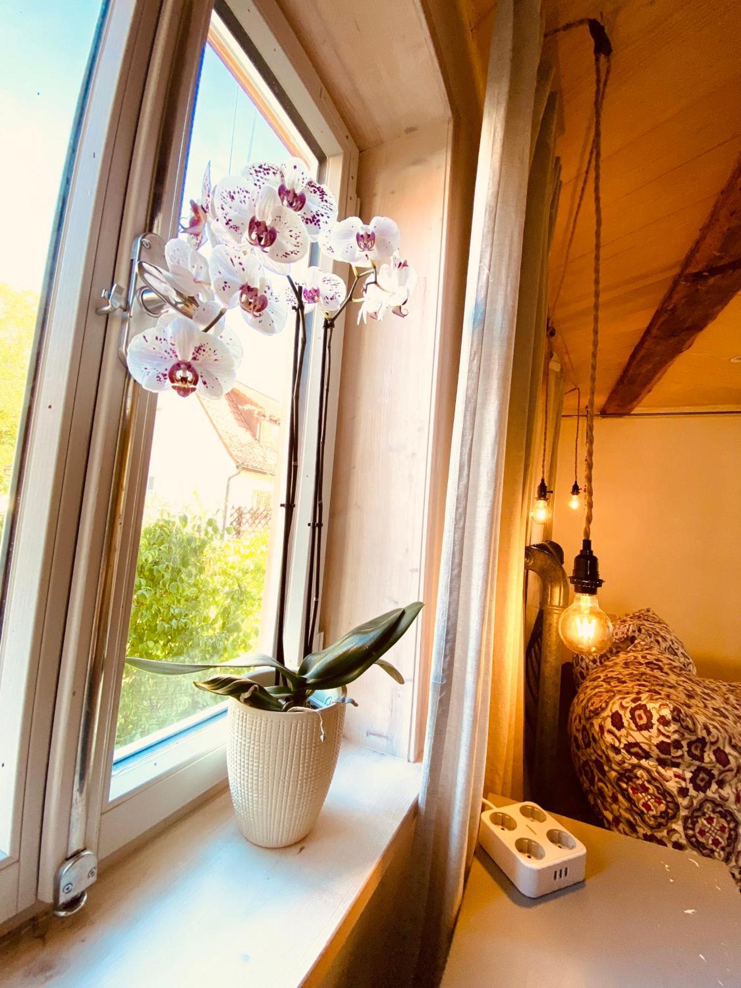 Tranquil Ground Floor Apartment: Dog-Friendly with Modern Comforts Nehren  Exterior photo